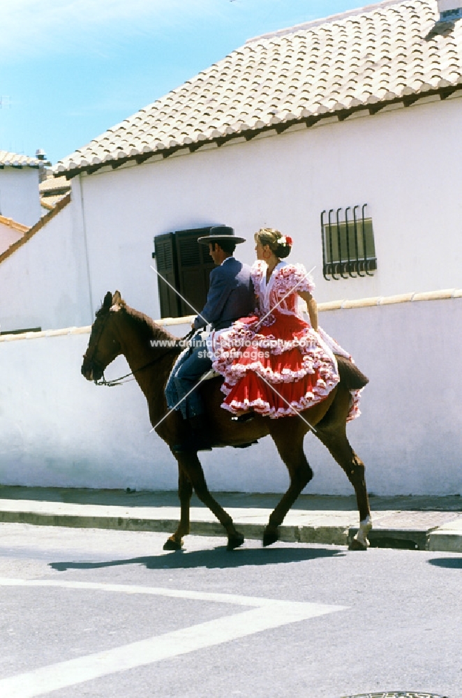 horse and rider in traditional parade at arles, france