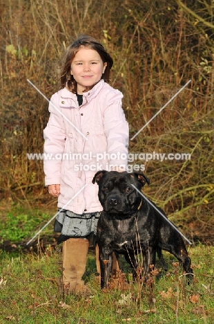 girl and her Staffordshire Bull Terrier