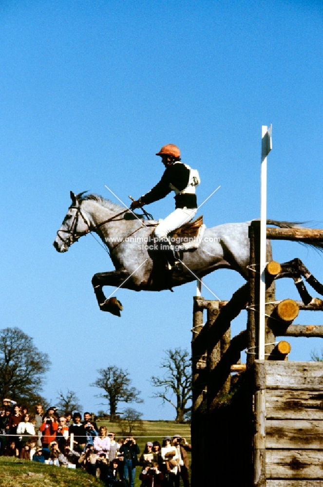 horse jumping in cross country at badminton 1980, normandy bank
