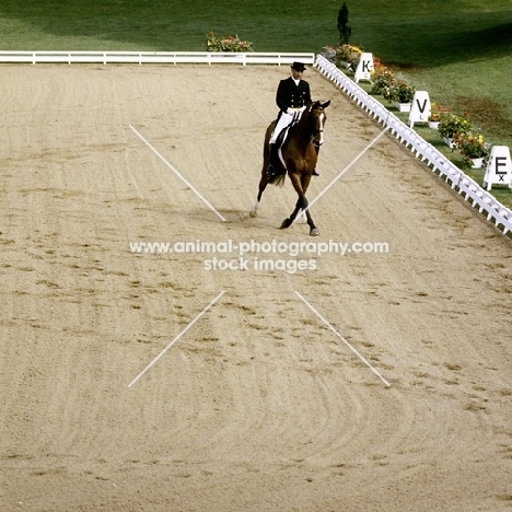 dressage at goodwood, dr. r klimke, riding ahlerich, half pass