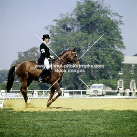  dressage at goodwood 1976