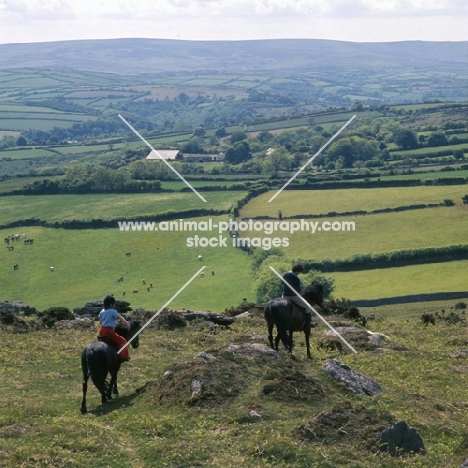 two riders in distance on dartmoor ponies, one is shilstone rocks barbados ridden by jo, on the moor, 