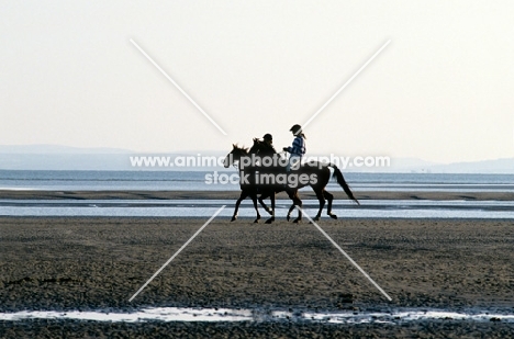 two horses and riders on a beach
