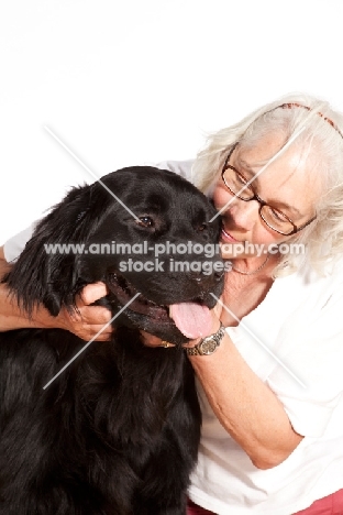 Newfoundland mixed breed with owner