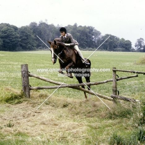 jumping crossed poles with the pony club