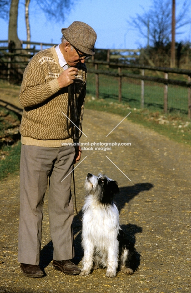 john holmes, animal trainer, training a bearded collie cross 