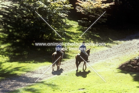 two riders in windsor great park