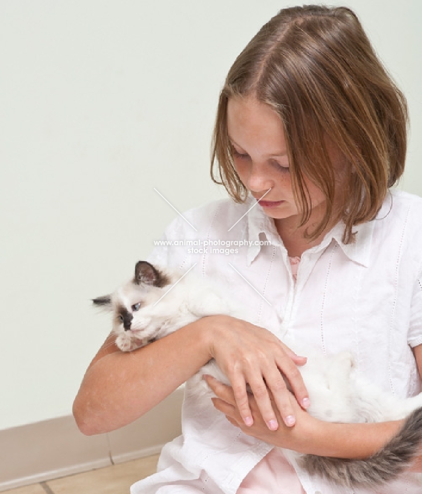 girl holding Ragdoll kitten