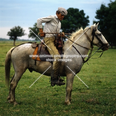 Gardien riding camargue pony