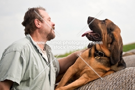 man and bloodhound looking at each other with round hay bales.