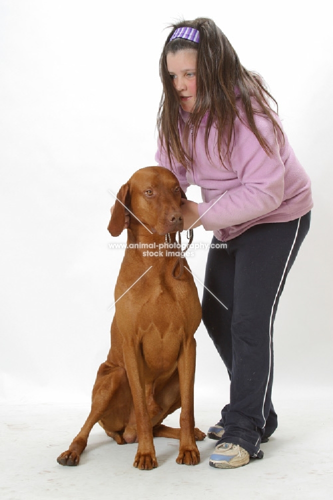 Australian Gr Champion Hungarian Vizsla with girl