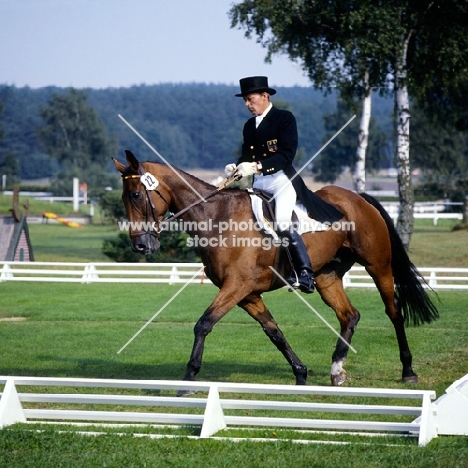 eventing dressage at luhmuhlen