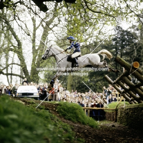 eventing at badminton 1981, cross country phase