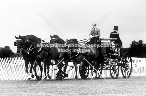 team of four-in-hand at the world driving chs Windsor 1980