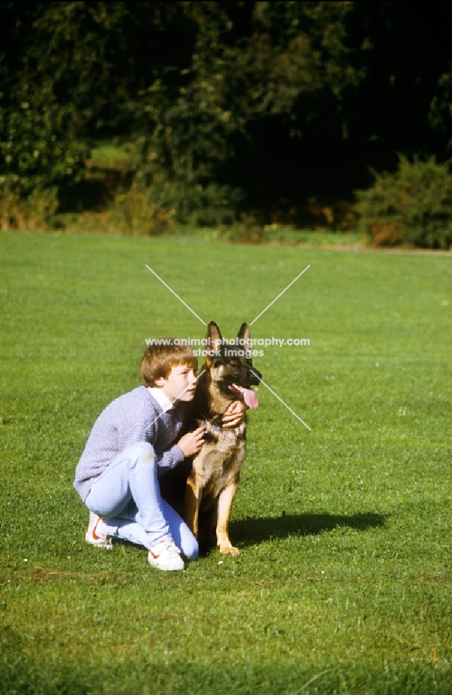 german shepherd dog with his young owner