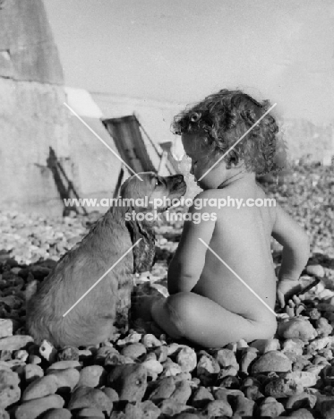 child and puppy at the beach