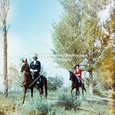 two karabakh horses and riders walking through trees, colour faded