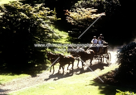 duke of edinburgh driving at Windsor show 1979