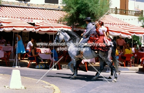 camargue pony and riders at saintes marie de la mer for parade