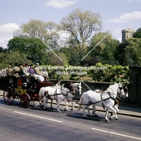 coaching marathon, windsor 1976