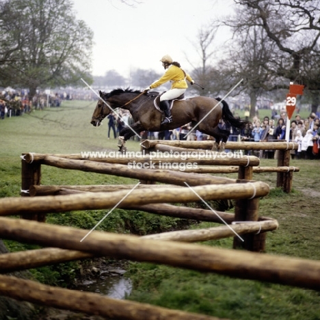 eventing at badminton 1981