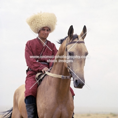 polotli, akhal teke horse, turkmen rider in traditional clothes