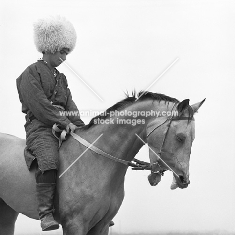 Polotli, famous akhal teke stallion with mouth open, eyes shut