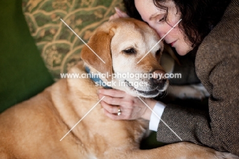 Senior Yellow Lab being snuggled by female owner.