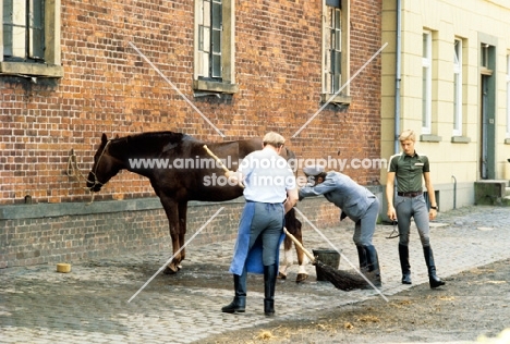 three men, one washing  a hanoverian, one sweeping cobblestones at celle 