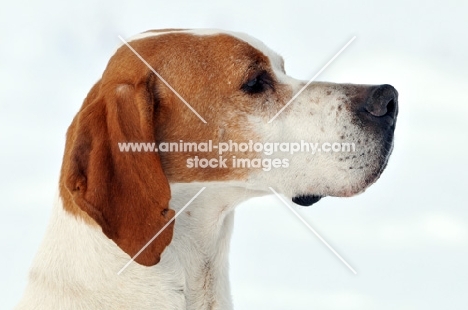 Pointer profile