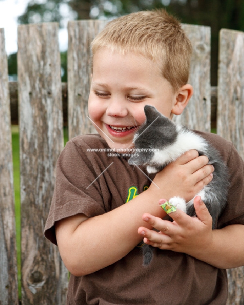 boy holding a household kitten