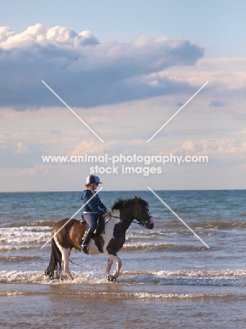 Horseback riding in the sea