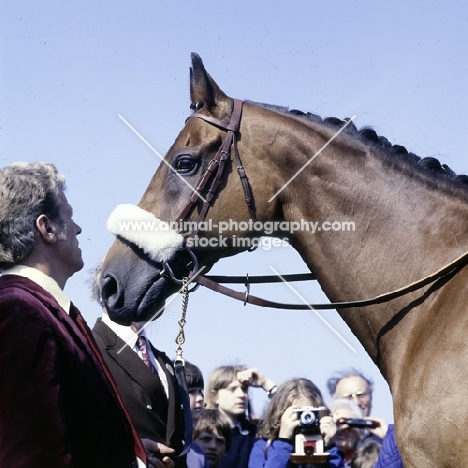 red rum, famous grand national winner with admirers