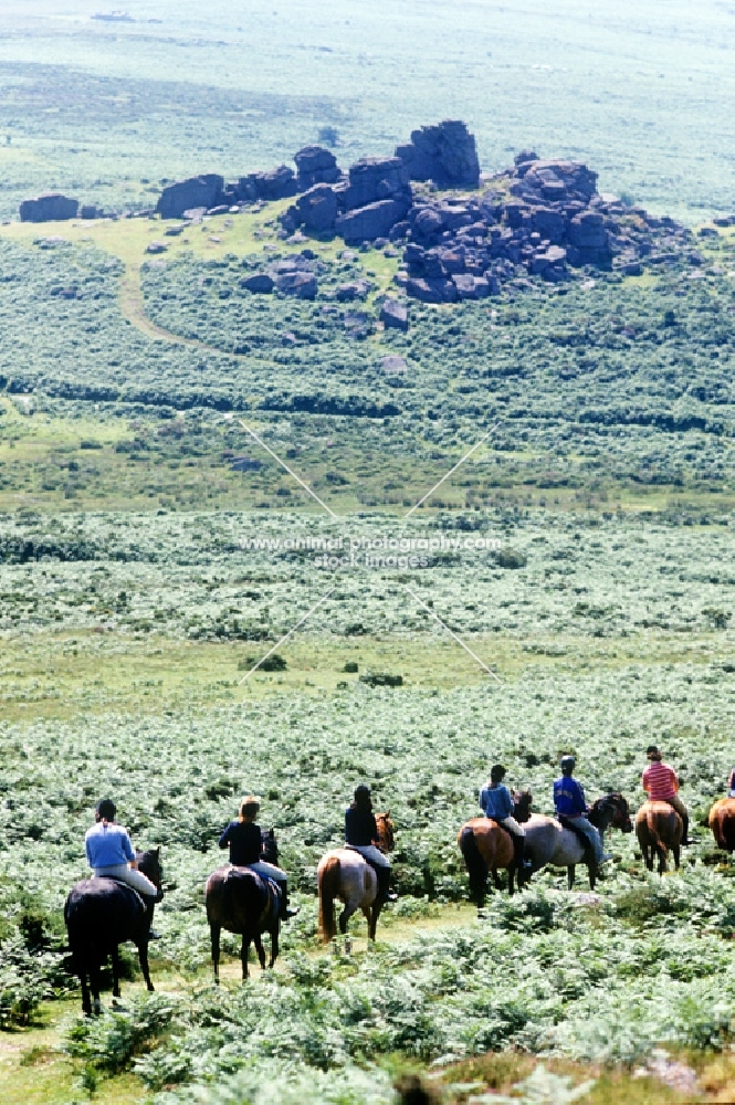 trekking on dartmoor