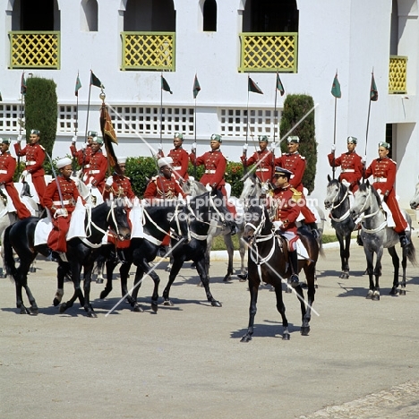 garde royale in parade at rabat morocco