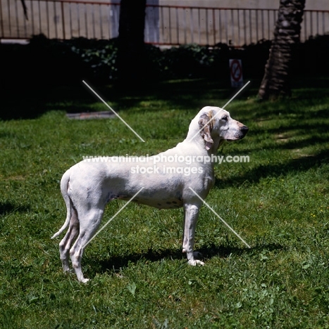 side view of porcelaine