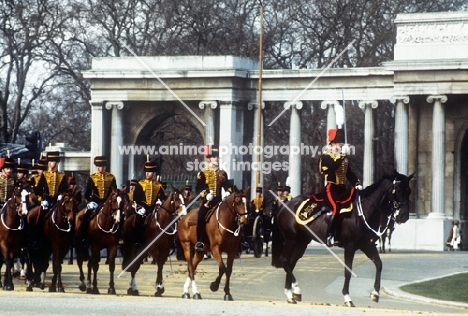 kings troop royal horse artillery in ceremonial dress in london