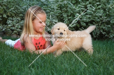 Golden Retriever puppy with girl