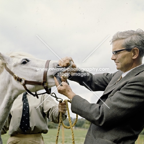 vet inspecting pony's teeth