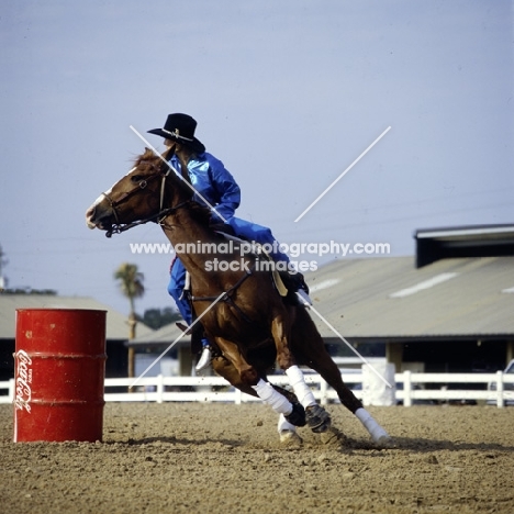 barrel racing in florida usa