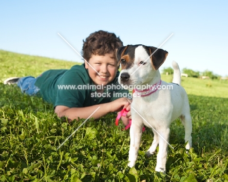 young Jack Russell with boy