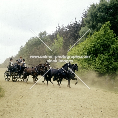 team of four, international grand prix at windsor show 1976