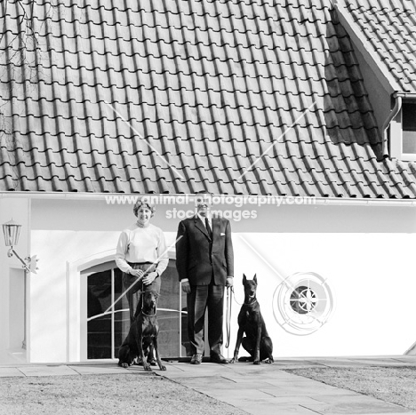 two dobermanns with cropped ears with a man and a woman outside a house