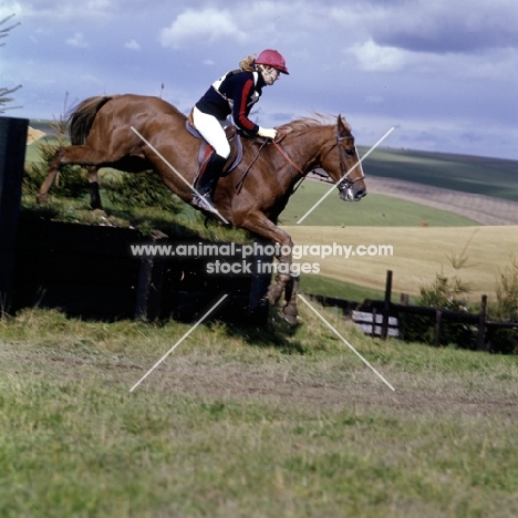 wylye horse trials cross country