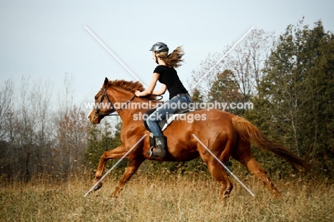 girl galloping thoroughbred