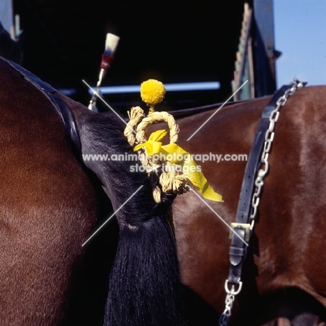 plaited tail with decoration