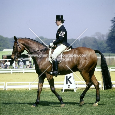 jennie loriston clarke during dressage at goodwood 1976, 