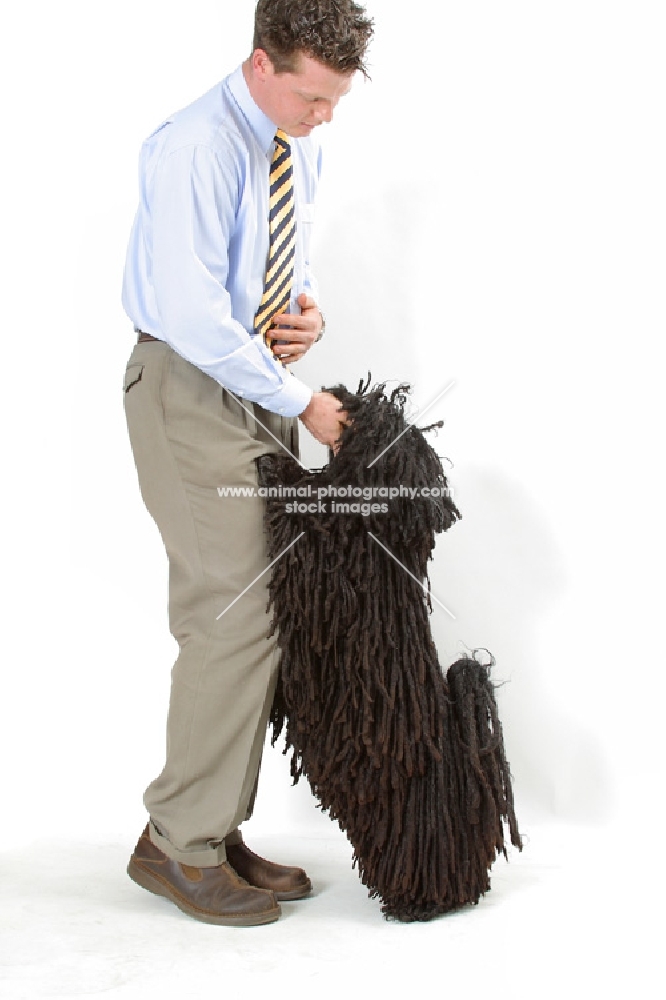 Australian Champion Puli with owner