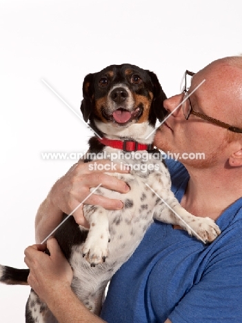 Dachshund x Beagle mix (also known as Doxle, Doxie, Beaschund)