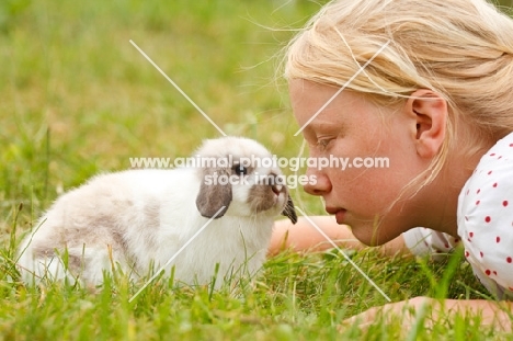 mini lop rabbit with girl